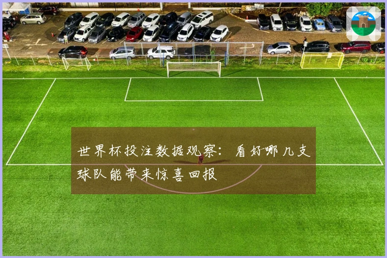 世界杯投注数据观察：看好哪几支球队能带来惊喜回报