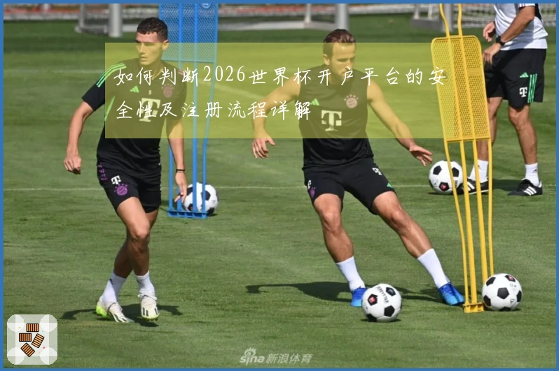 如何判断2026世界杯开户平台的安全性及注册流程详解