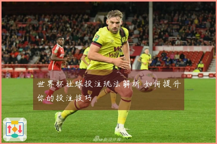 世界杯让球投注玩法解析 如何提升你的投注技巧