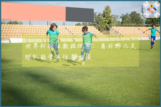 世界杯投注数据观察：看好哪几支球队能带来惊喜回报