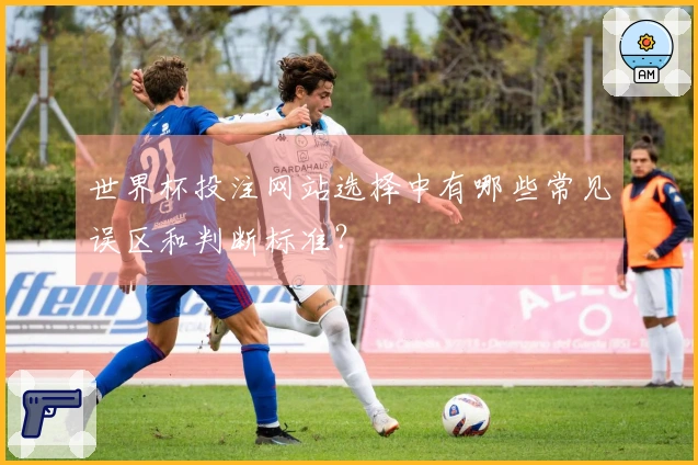 世界杯投注网站选择中有哪些常见误区和判断标准？