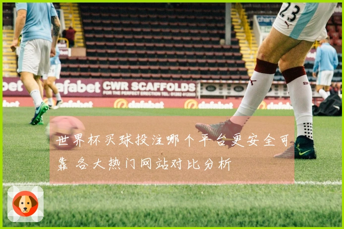 世界杯买球投注哪个平台更安全可靠 各大热门网站对比分析