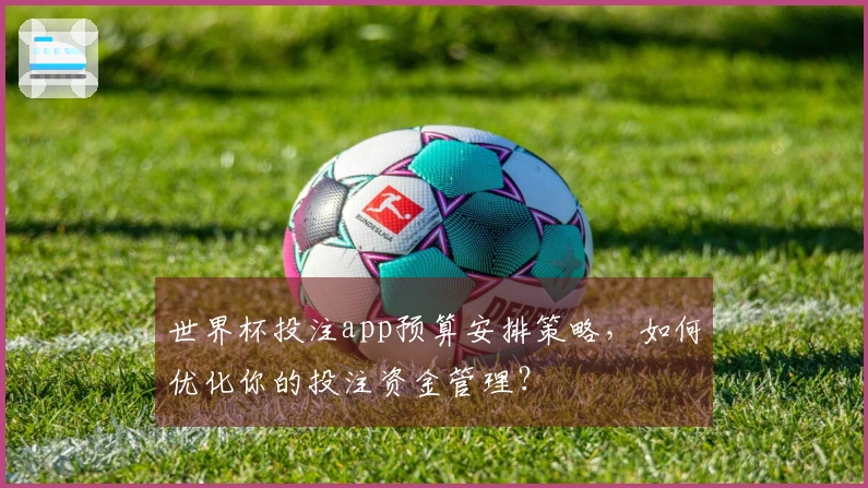 世界杯投注app预算安排策略，如何优化你的投注资金管理？