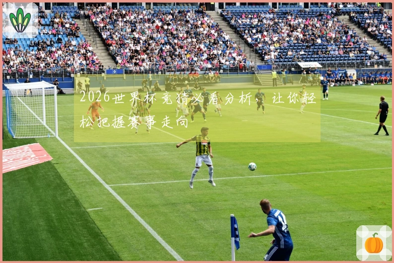 2026世界杯竞猜必看分析，让你轻松把握赛事走向